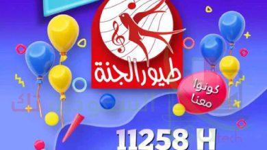 تردد قناة طيور الجنة اللي شغال نايل سات 2023 مباشر