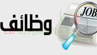 أفضل وظائف في ألمانيا براتب كبير بدون اوسبيلدونغ 2024