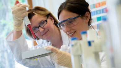 التدريب المهني في المانيا