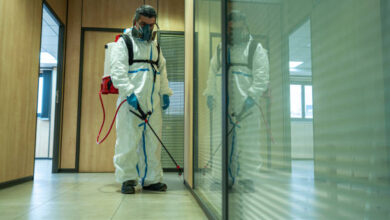 افضل شركات مكافحة حشرات