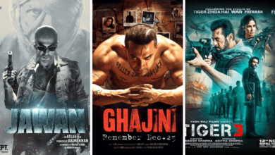 أفضل أفلام هندية أكشن 2024