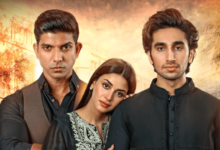 أفضل مواقع لتحميل مسلسلات باكستانية 2024