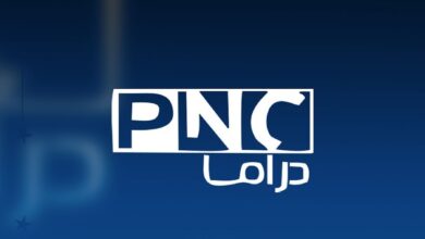 تردد قناة بانوراما دراما - Panorama Drama نايل سات بث مباشر 2024