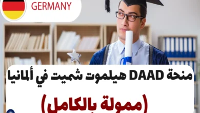 منحة هلموت شميت للماجستير