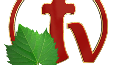 تردد قناة الكرمة نايل سات 2024 بث مباشر