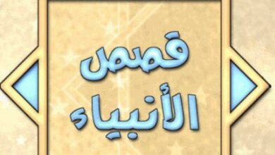 تردد قناة قصص الأنبياء نايل سات 2024 بث مباشر