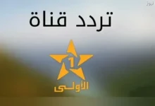 إعلام وطني يعكس الهوية الثقافية ويقدم برامج متنوعة تجذب المشاهد العربي وتلبي احتياجاته على مدار الساعة