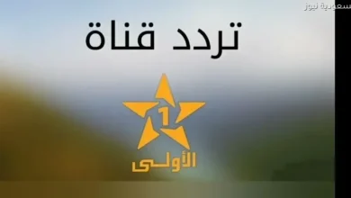 إعلام وطني يعكس الهوية الثقافية ويقدم برامج متنوعة تجذب المشاهد العربي وتلبي احتياجاته على مدار الساعة