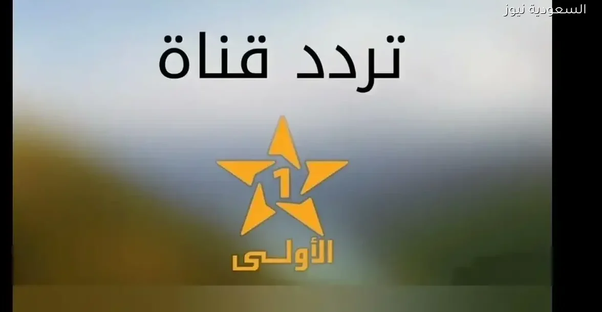 إعلام وطني يعكس الهوية الثقافية ويقدم برامج متنوعة تجذب المشاهد العربي وتلبي احتياجاته على مدار الساعة