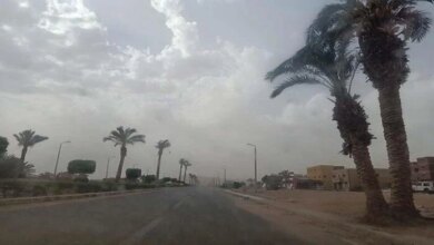 الأرصاد تحذر من تقلبات كبيرة في درجات الحرارة المتوقعة بمصر غدًا الاثنين 22 ديسمبر 2025