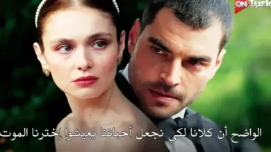 تابع الحلقة السابعة عشر من مسلسل ولي العهد مترجمة بالعربية مع تفاصيل القصة وأبرز أبطال العمل وإحداث مثيرة