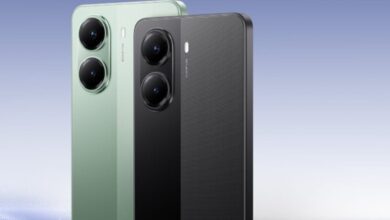 تحليل تفصيلي يكشف اختلافات حاسمة في الأداء والقيم لشركة Mix Vale