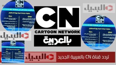 تردد قناة CN كرتون نتورك بالعربية على نايل سات وعرب سات 2026 مع دليل كامل لتنزيلها بسهولة في خطوات بسيطة