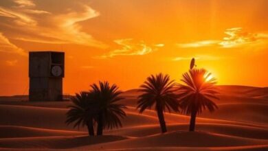 تردد قناة الصحراء الجديد على نايل سات وكيفية ضبطه بسهولة في خطوات مبسطة