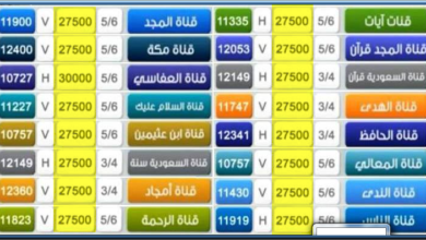 تردد قناة الميركة الجديد 2026 وطريقة تثبيت القناة رام تي في عبر موقع حدوتة بشكل مفصل ومحدث