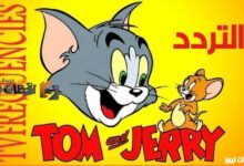 تردد قناة توم وجيري الجديد لعام 2026 عبر نايل سات وعربسات لتجربة مشاهدة متميزة
