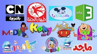 تردد قناة روتانا HD على نايل سات بجودة فائقة لتجربة مشاهدة مبهرة