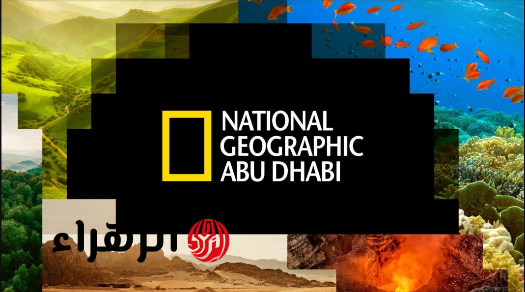 تردد قناة ناشيونال جيوغرافيك الجديد لعام 2026 عبر نايل سات وعرب سات بثبات ودقة عالية