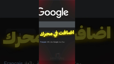 ترند رقم 67 يشعل جوجل ويثير ضجة كبيرة في محرك البحث بسبب ظاهرة غريبة