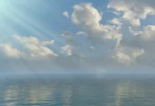 تصاعد الصراعات والحروب التاريخية في مسلسل المؤسس أورهان الحلقة 31 وتأثيرها العميق على المشهد السياسي