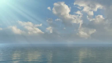 تصاعد الصراعات والحروب التاريخية في مسلسل المؤسس أورهان الحلقة 31 وتأثيرها العميق على المشهد السياسي