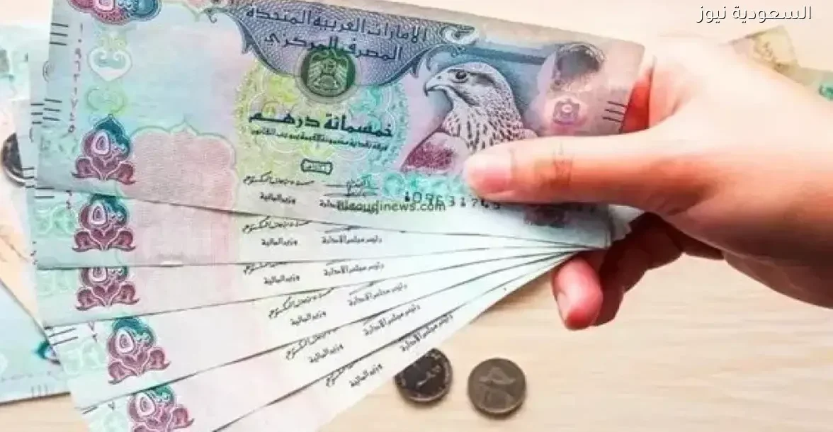 سعر الدرهم الإماراتي أمام الجنيه في البنوك المصرية اليوم الخميس 18 ديسمبر 2025 في السعودية نيوز