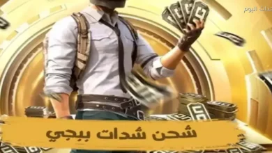 شحن شدات ببجي بسهولة مع خصومات حصرية عبر منصة Midasbuy الرسمية والآمنة