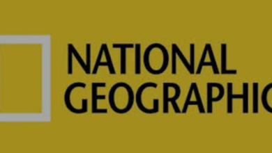 كيفية ضبط تردد قناة ناشيونال جيوغرافيك نايل سات 2025 لمتابعة عالم الحيوان بجودة HD كاملة