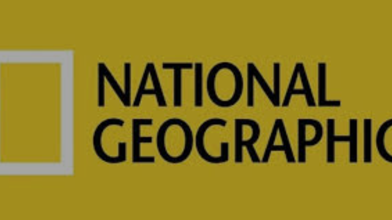 كيفية ضبط تردد قناة ناشيونال جيوغرافيك نايل سات 2025 لمتابعة عالم الحيوان بجودة HD كاملة