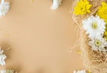 مشاهدة الحلقة التاسعة من مسلسل أورهان بجودة عالية وبدون تقطيع مجانا على مدار الساعة