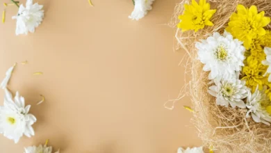 مشاهدة الحلقة التاسعة من مسلسل أورهان بجودة عالية وبدون تقطيع مجانا على مدار الساعة