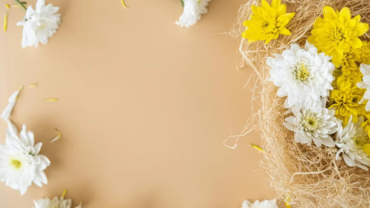 مشاهدة الحلقة التاسعة من مسلسل أورهان بجودة عالية وبدون تقطيع مجانا على مدار الساعة