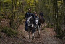 مشاهدة مسلسل المؤسس اورهان الحلقة 8 تجارب مشوقة وأحداث غير متوقعة تجذب الجمهور