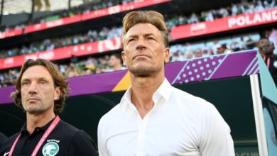 هيرفي رينارد جنسيته وأصله وقصته الشخصية والمهنية في كرة القدم العالمية